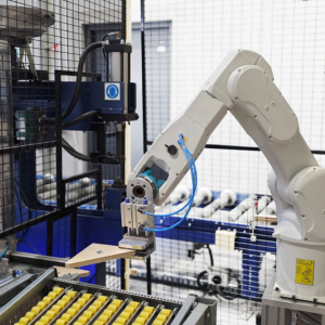 ROBONUT stanowisko do nabijania nakrętek